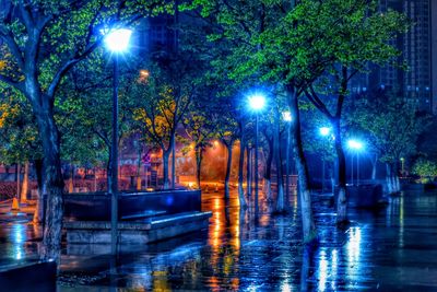 Illuminated street light by trees in city at night