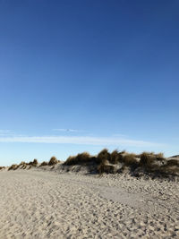 Surface level of sandy beach against sky