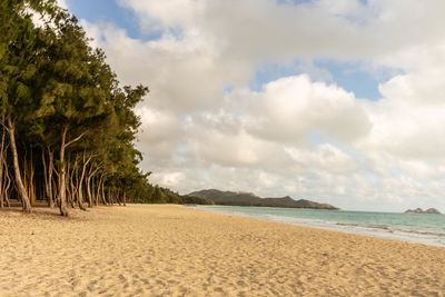 Scenic view of beach against sky