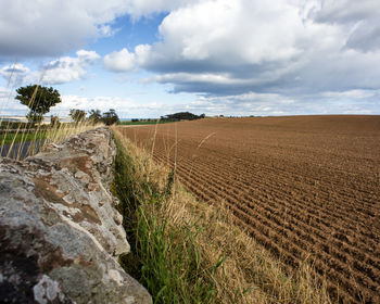Scenic view of field against sky
