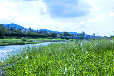 Scenic view of field against sky