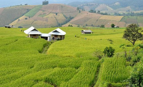 Scenic view of agricultural field and houses against mountains