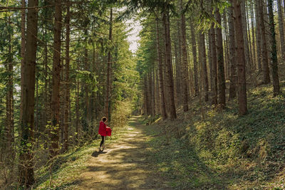 Rear view of young woman walking on footpath in forest