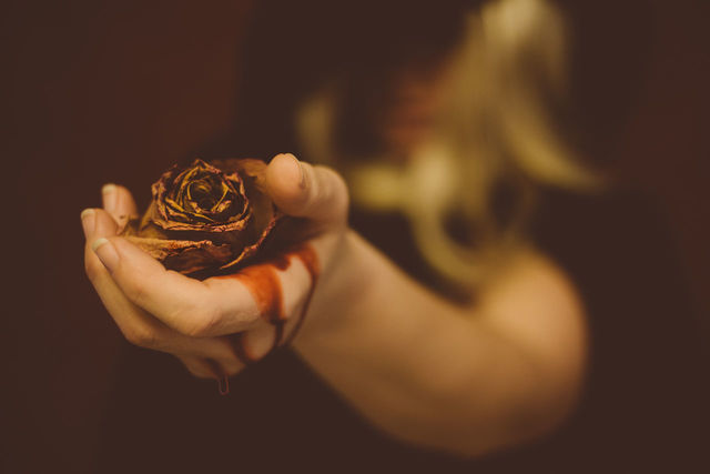 Close-up of woman hand holding dead rose | ID: 77957395