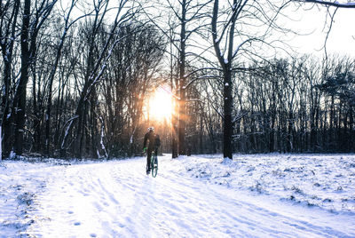 Bare trees on snow against sky during winter