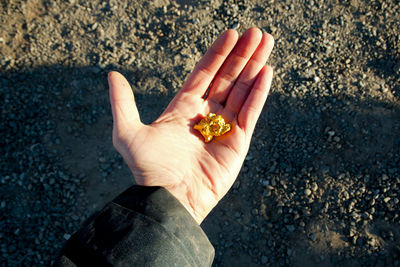 High angle view of person holding rock