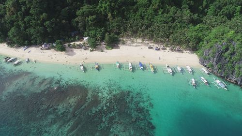 Aerial view of outriggers in sea