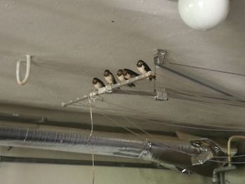 View of railway tracks