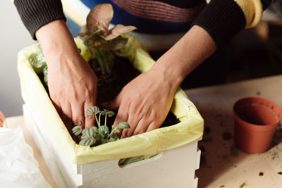 Midsection of woman planting seedling on table