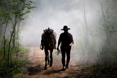 Rear view of horse riding horses