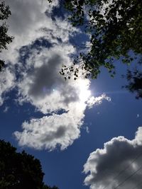 Low angle view of silhouette trees against blue sky on sunny day