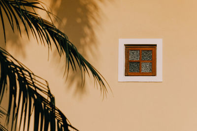 Low angle view of palm tree against building