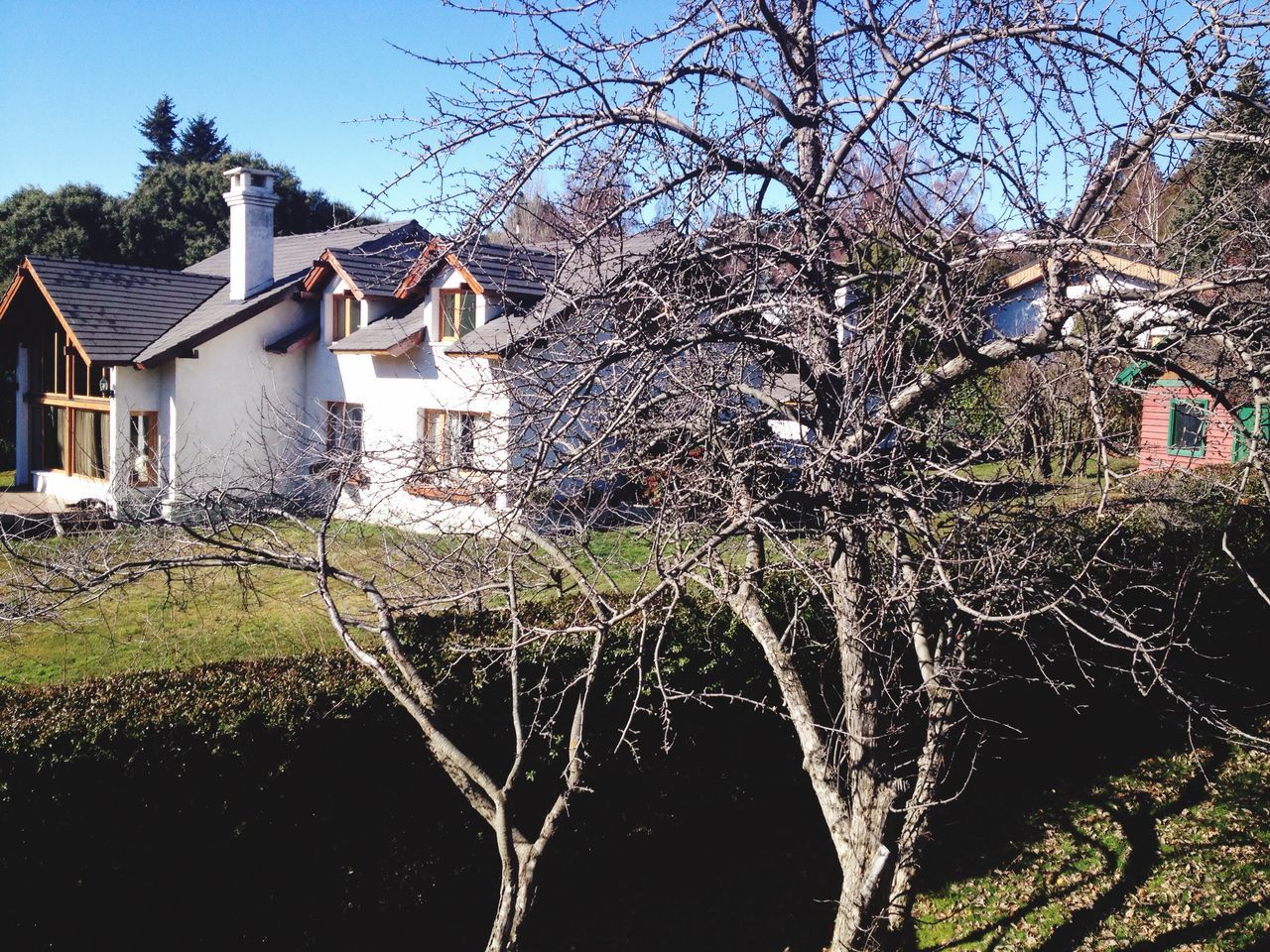 architecture, built structure, building exterior, house, tree, branch, bare tree, water, day, outdoors, no people, green color