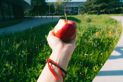 Midsection of woman holding red apple