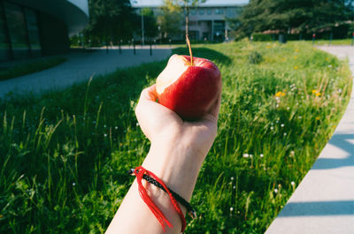 Cropped hand of woman holding apple outdoors