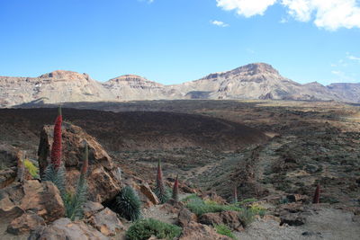 Scenic view of landscape against sky