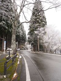 Empty road along trees and plants in city