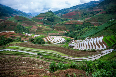 Scenic view of rural landscape