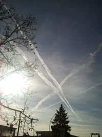 Low angle view of bare trees against sky