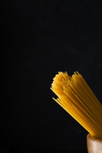 Close-up of yellow flower against black background