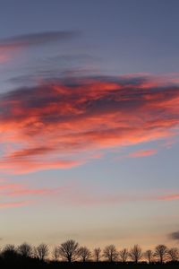 Silhouette trees against dramatic sky during sunset
