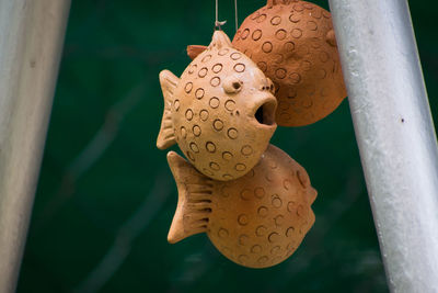 High angle view of decoration hanging on wood