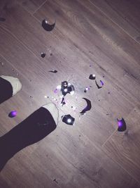 High angle view of purple flower on table