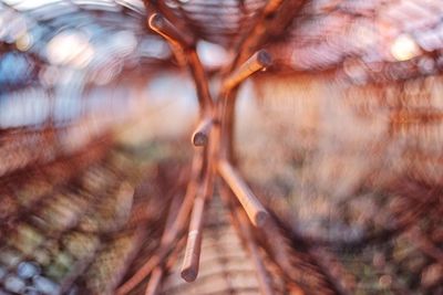 Close up of wood