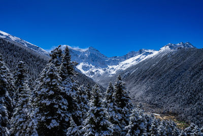 Scenic view of snowcapped mountains against clear blue sky