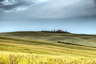 Scenic view of agricultural field against sky