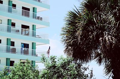 Low angle view of palm tree against sky