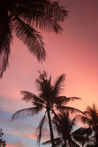 Silhouette palm trees against romantic sky at sunset