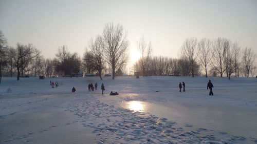 People on snow covered trees