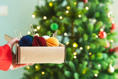 Midsection of person holding christmas tree