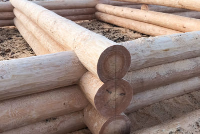 Stack of logs in forest