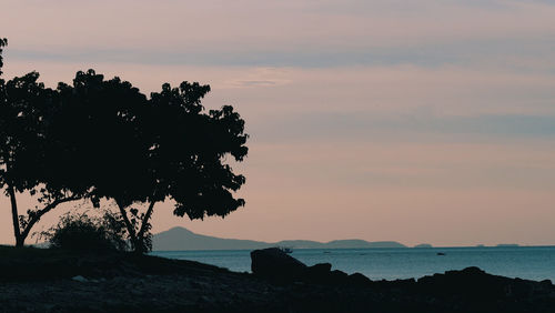 Silhouette trees by rocks against sky during sunset