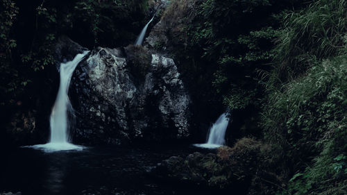 Waterfall in forest