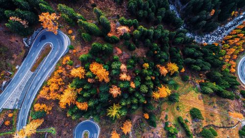 High angle view of trees by winding road during autumn