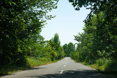 Empty road amidst trees against sky