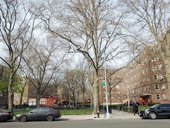 Cars on road by bare trees and buildings in city