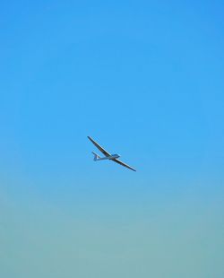 Low angle view of bird flying in sky