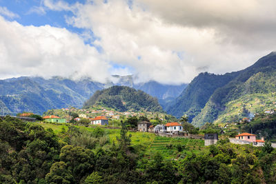  trees and houses on mountain