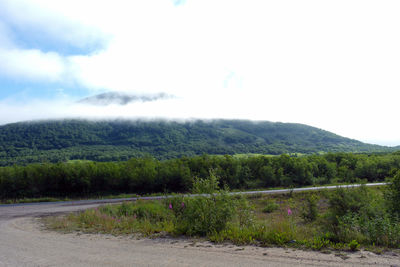 Scenic view of field against sky