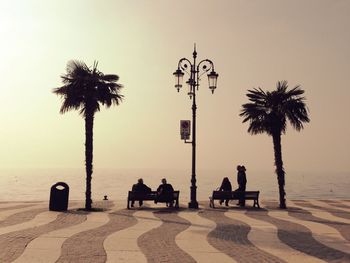 Palm trees at sunset