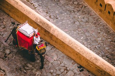 High angle view of man sitting on elephant in town