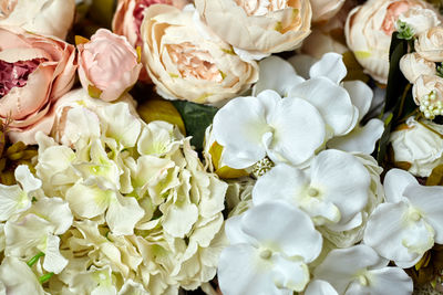 Close-up of white roses