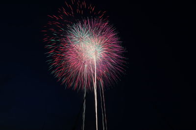 Low angle view of firework display at night