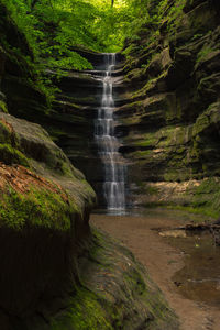 View of waterfall in forest