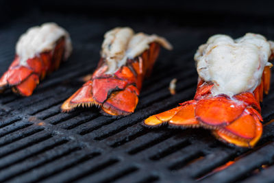 Close-up of lobsters