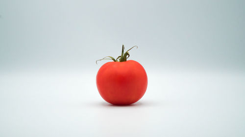 Close-up of tomatoes against white background